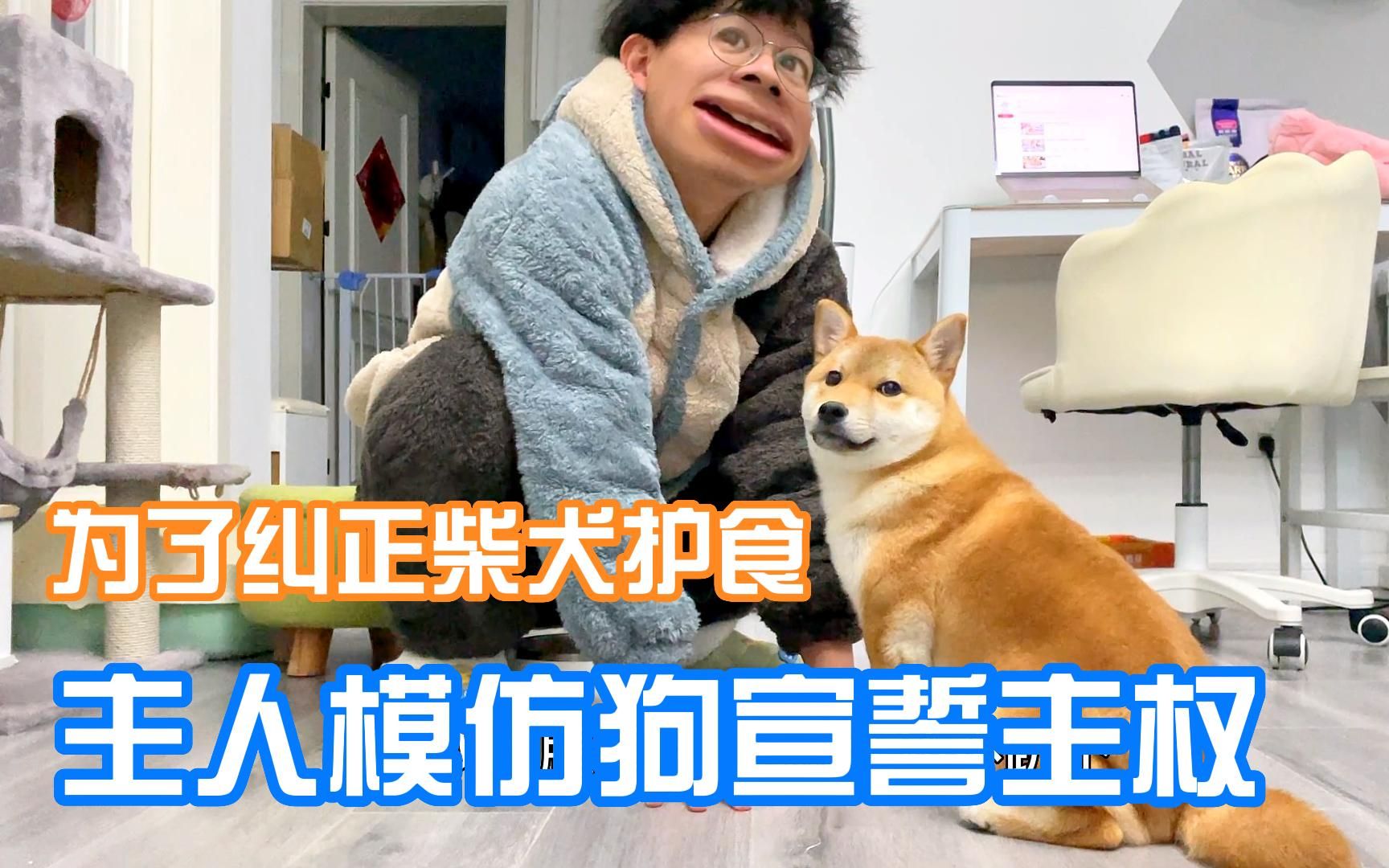 冯小刚主演《忠犬八公》成都点映：经典故事融入重庆元素-大河新闻