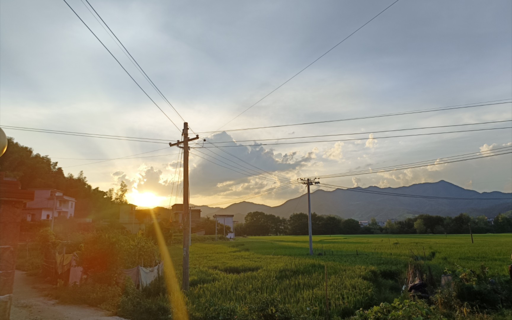 日常生活里的美景_哔哩哔哩_bilibili