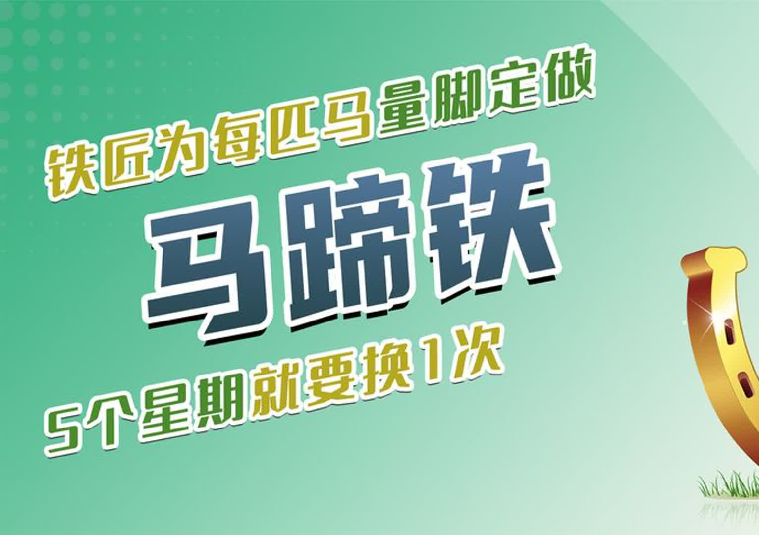 马蹄铁是怎么制作的?铁匠为每匹马量脚定做,5个星期就要换1次哔哩哔哩bilibili