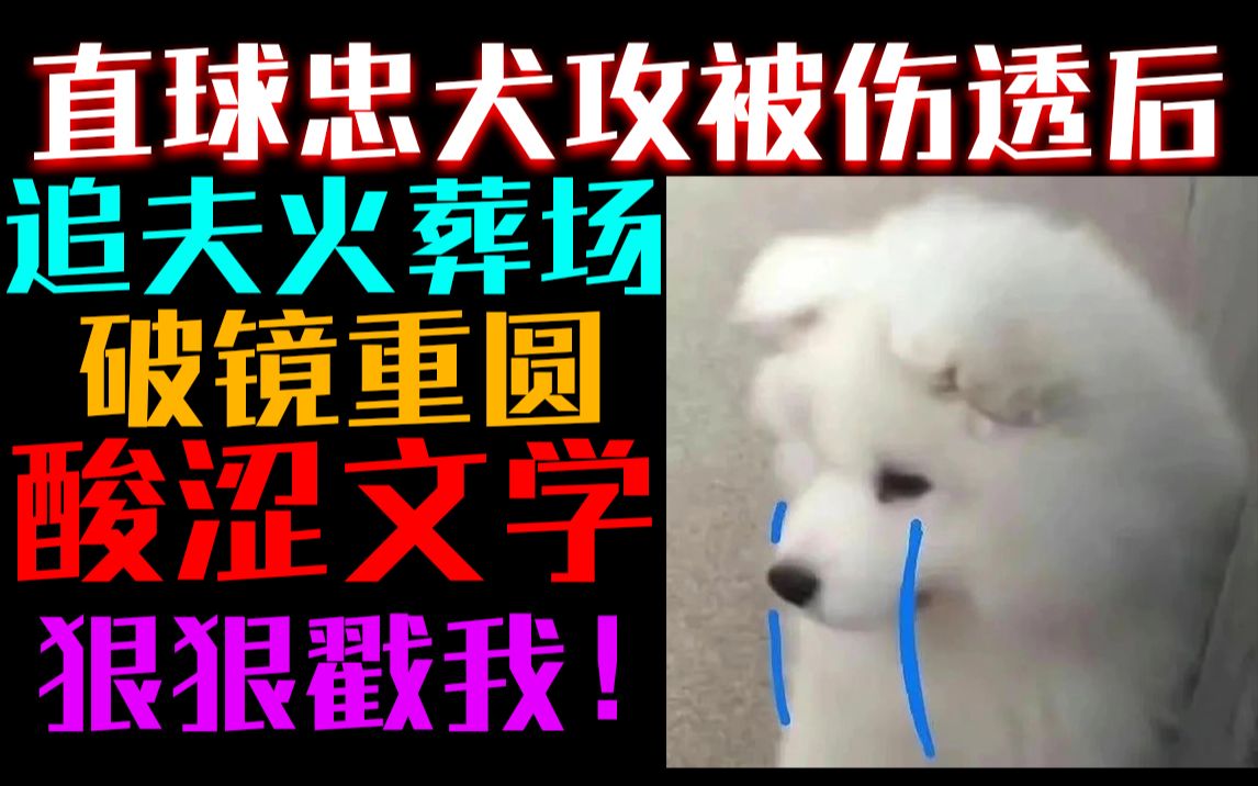 [图]绝不糊弄的追夫火葬场！忠犬直球狗勾攻被伤透心后...