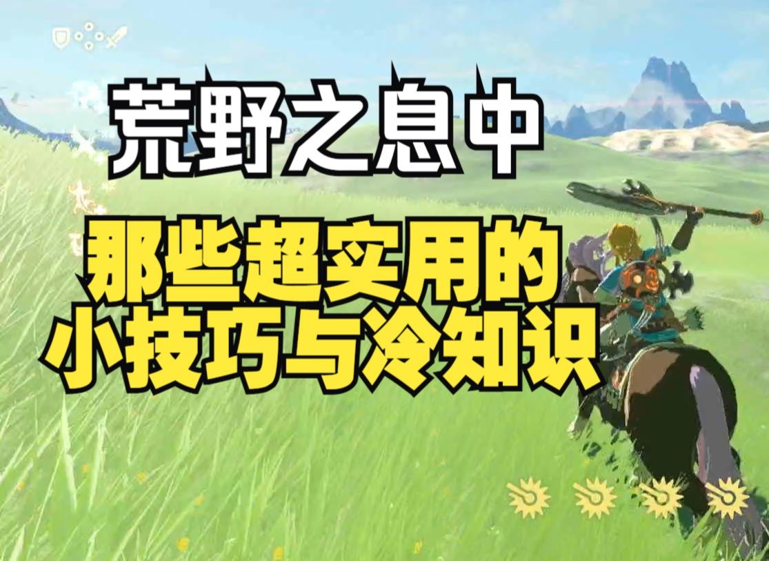 【塞尔达】分享野炊中,那些非常实用又有趣的15个小技巧与冷知识游戏集锦
