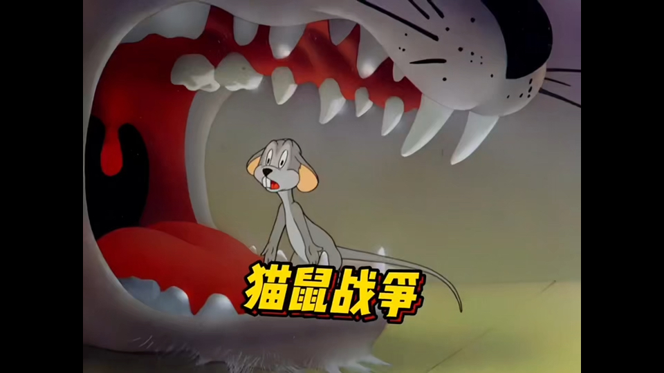 汉奸老鼠为了个人私欲不顾族群的安危,一场猫鼠大战就此展开.