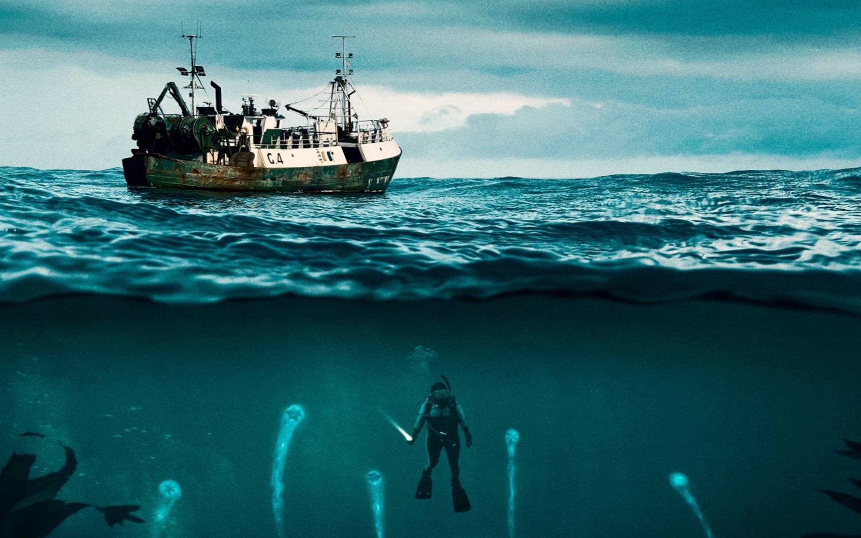 海报