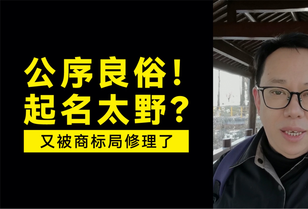 商标起名频触“公序良俗”,我的“野名”冤不冤?哔哩哔哩bilibili