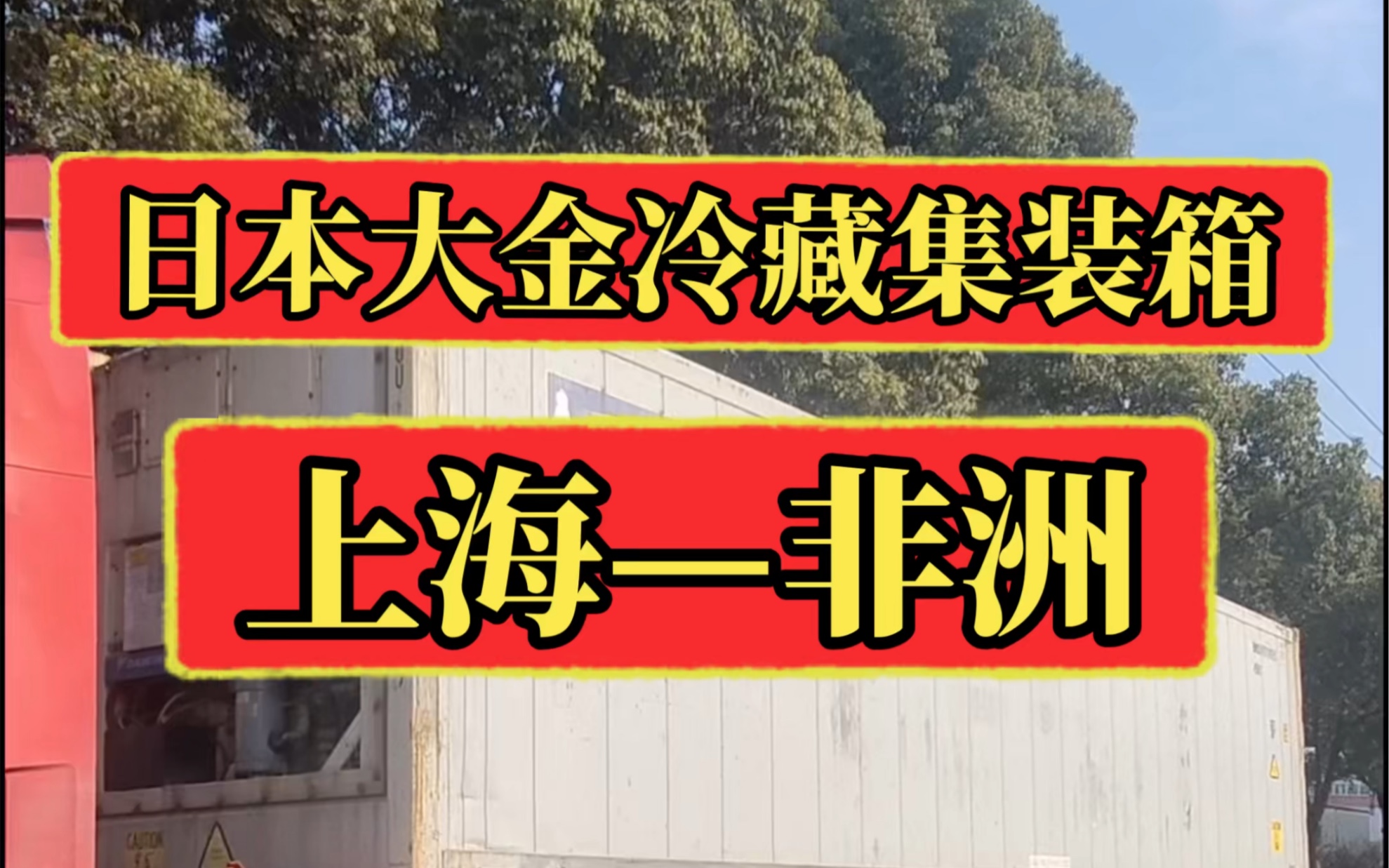 日本大金冷藏集装箱 ⱳ0度调节哔哩哔哩bilibili