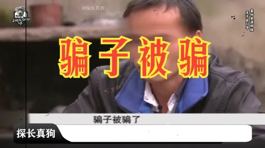 骗子骗骗子_哔哩哔哩_bilibili
