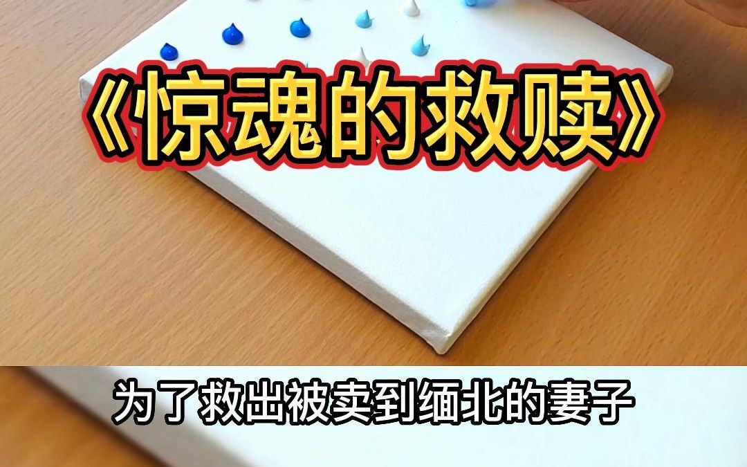 [图]【惊魂的救赎】老婆去支教不幸被卖到了缅北，我去救她，却亲身领略了缅北的人间炼狱……