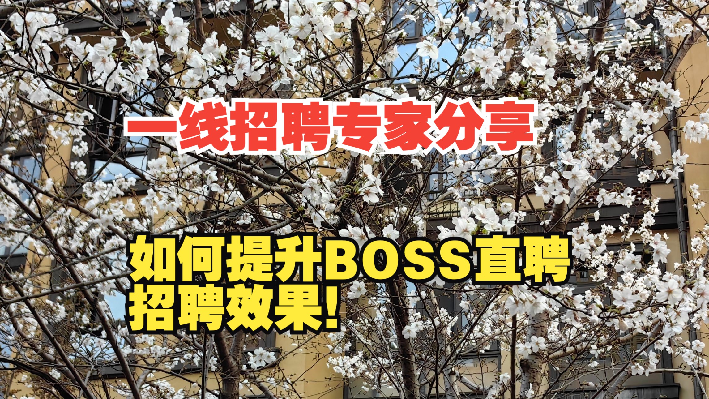 一线招聘专家分享|如何改变我用“BOSS直聘”效果不理想的局面哔哩哔哩bilibili