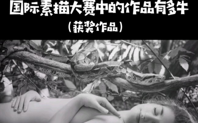 国际素描大赛获奖作品有多牛哔哩哔哩bilibili