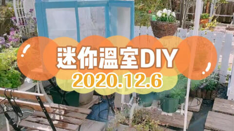 花园 迷你温室diy 哔哩哔哩