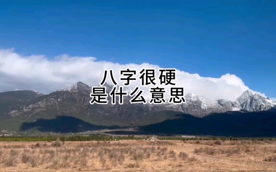 八字很硬是什么意思?哔哩哔哩bilibili