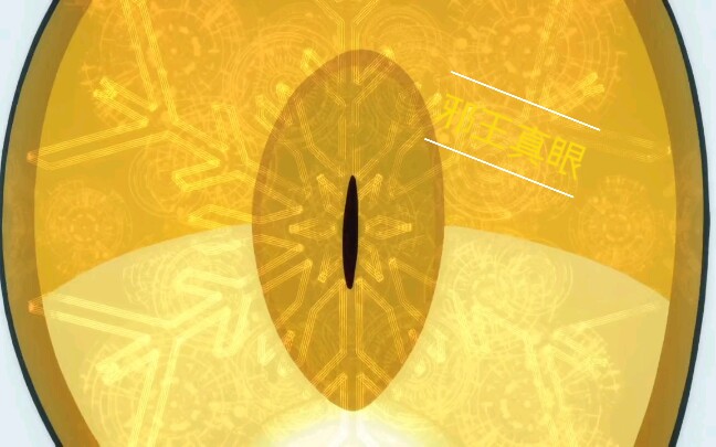 邪王真眼是最强的