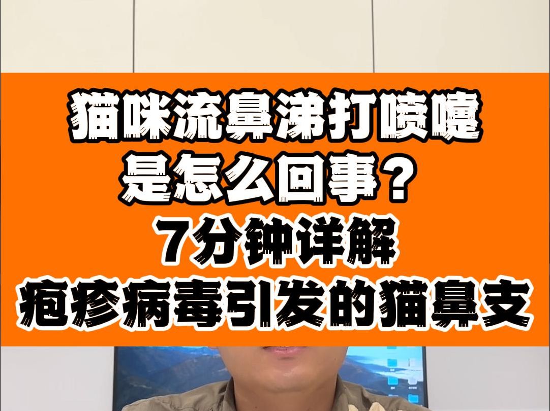 小猫打喷嚏流鼻涕流眼泪是怎么回事,该怎么办?猫鼻支的症状和治疗哔哩哔哩bilibili