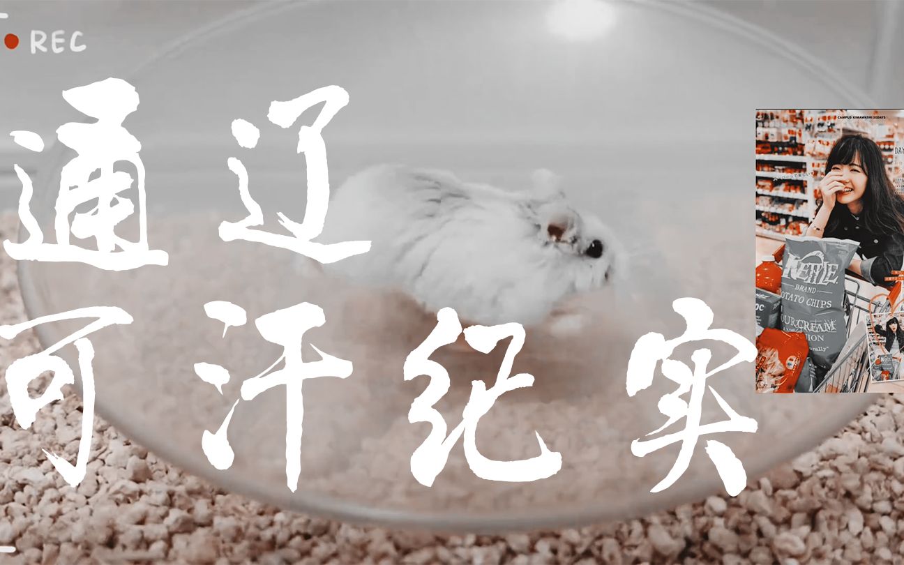 【通辽可汗起居注】来小约翰可汗,给爷跑一个@--w@!