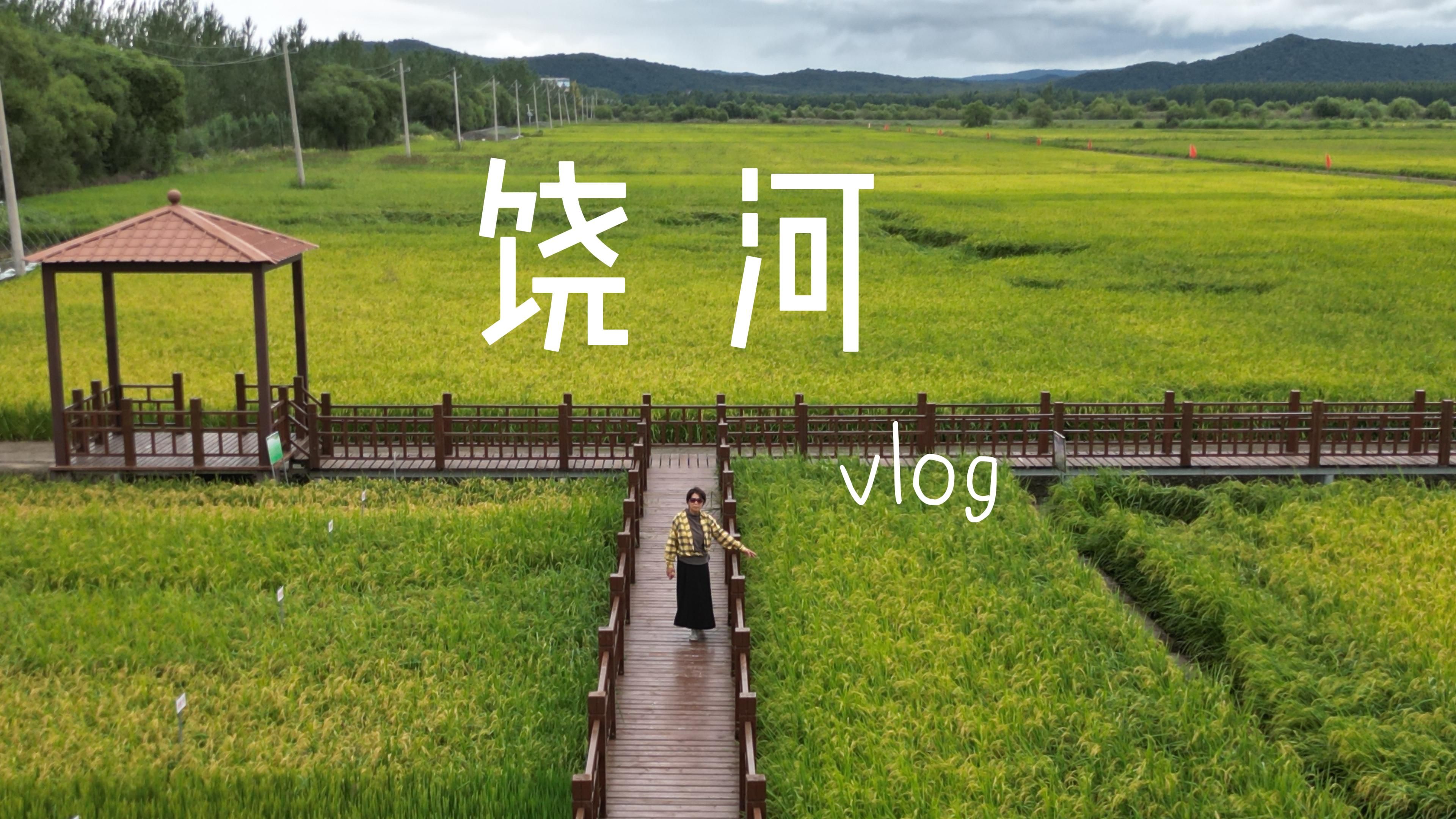 饶河VLOG | 在乌苏里船歌诞生地唱着乌苏里船歌 在辽阔的麦田里唱稻香哔哩哔哩bilibili