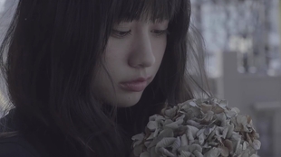 中日字幕 優里 ドライフラワー 干花 With Ensemble 4k 哔哩哔哩 つロ干杯 Bilibili