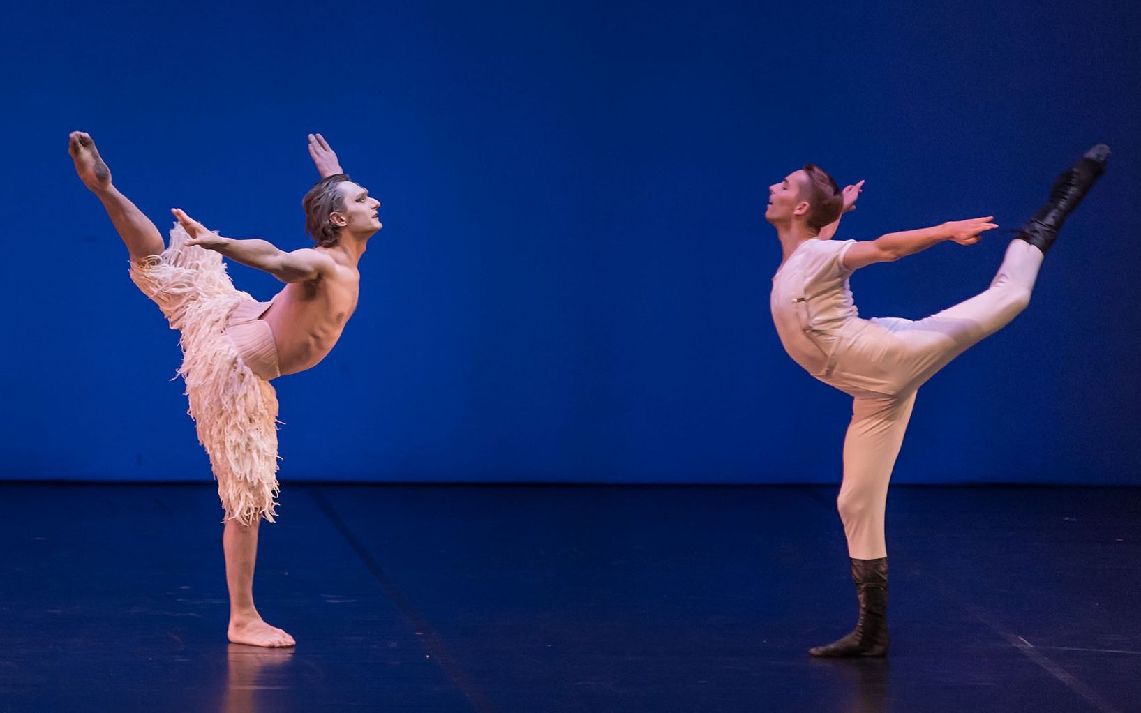 ivanputrovliammower马修伯恩版天鹅湖男男大双选段