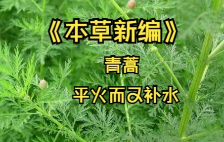 [图]《本草新编》青蒿 平火而又补水