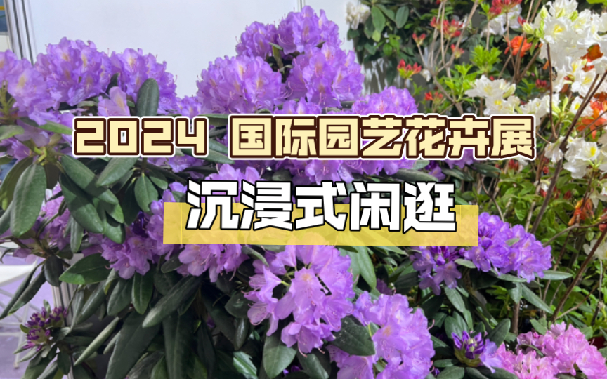 【闲逛闲聊】第26届中国国际花卉园艺展览会哔哩哔哩bilibili