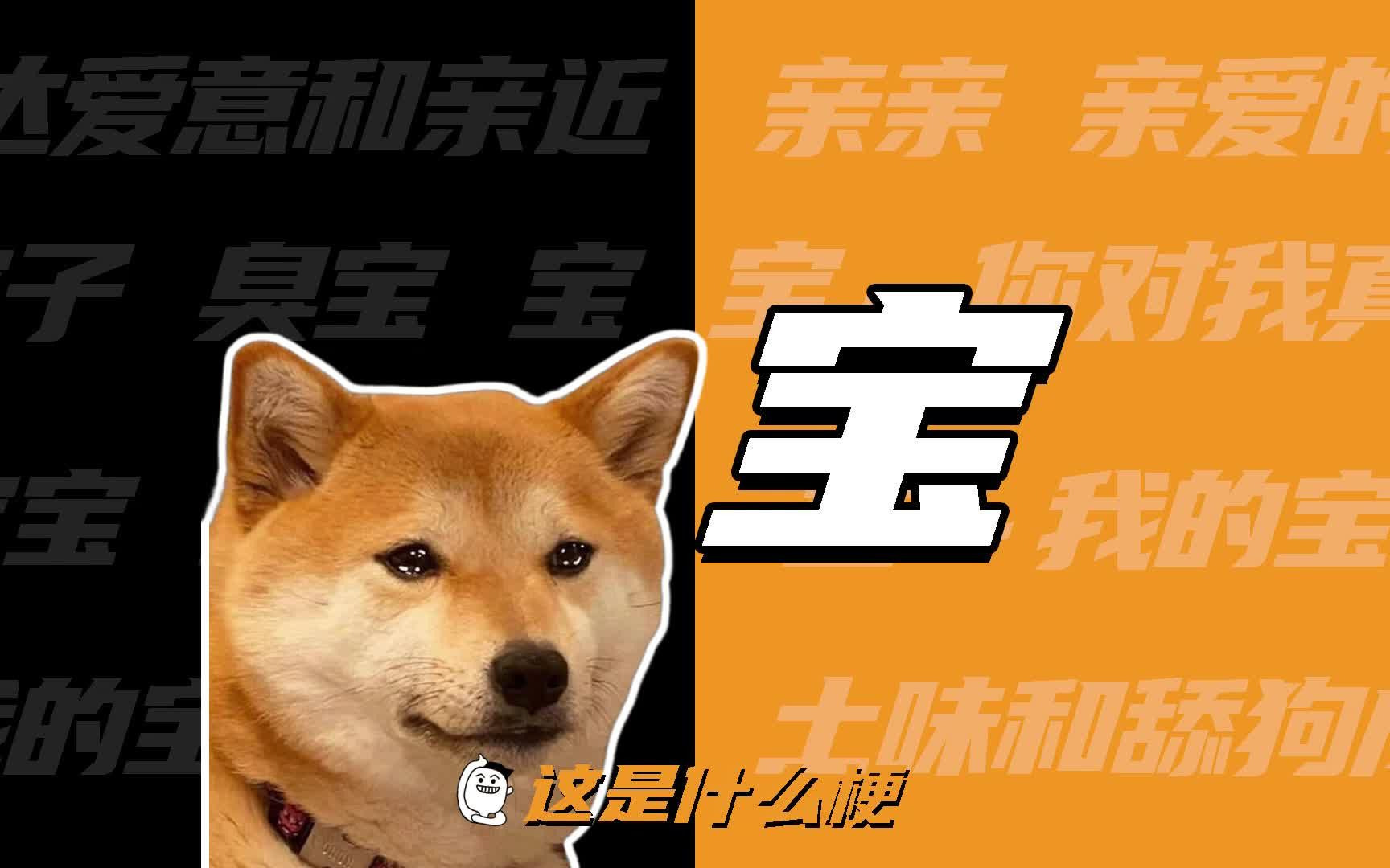 这是什么梗:宝～臭宝～我的宝儿