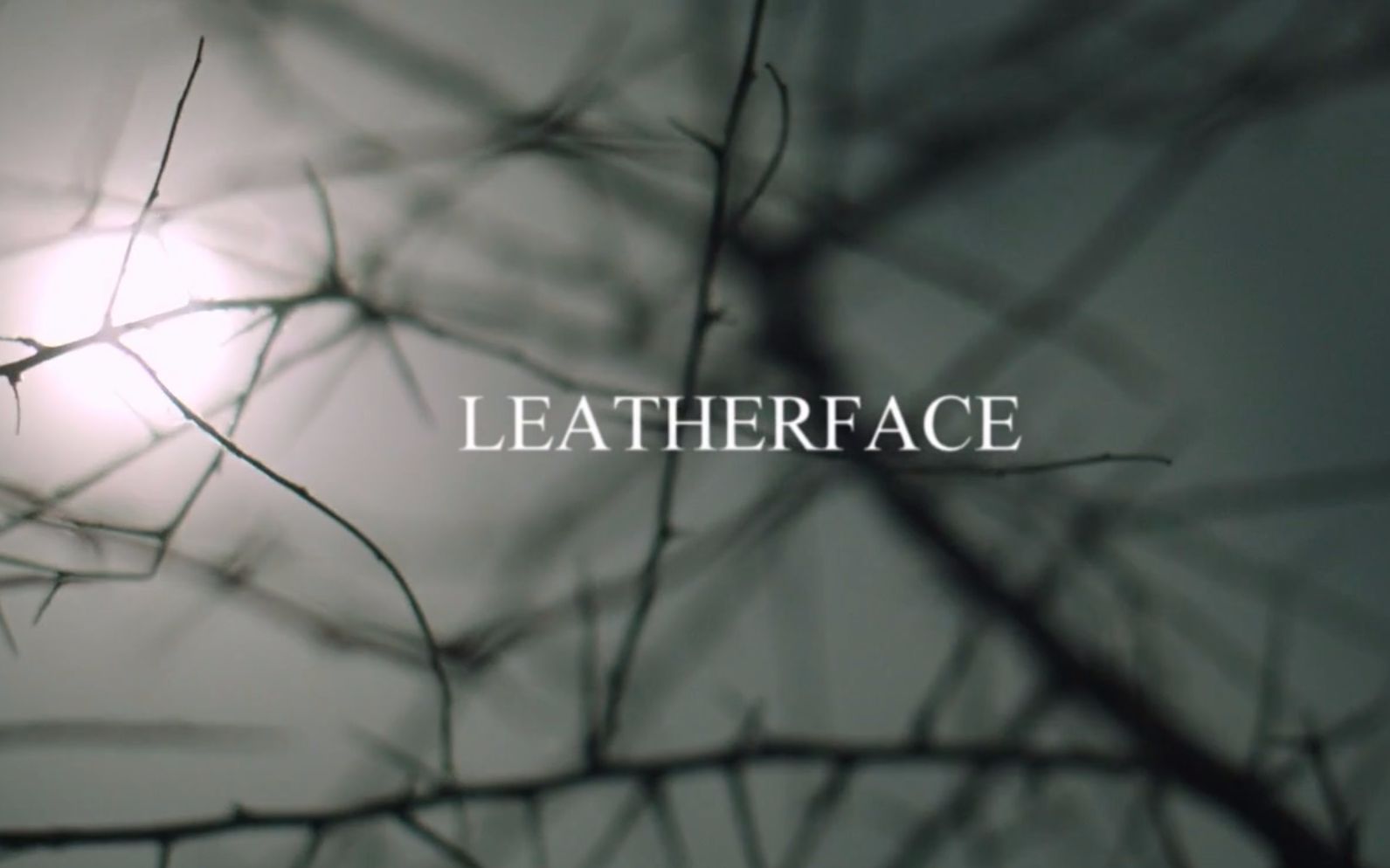 [图]《人皮脸/Leatherface》预告片