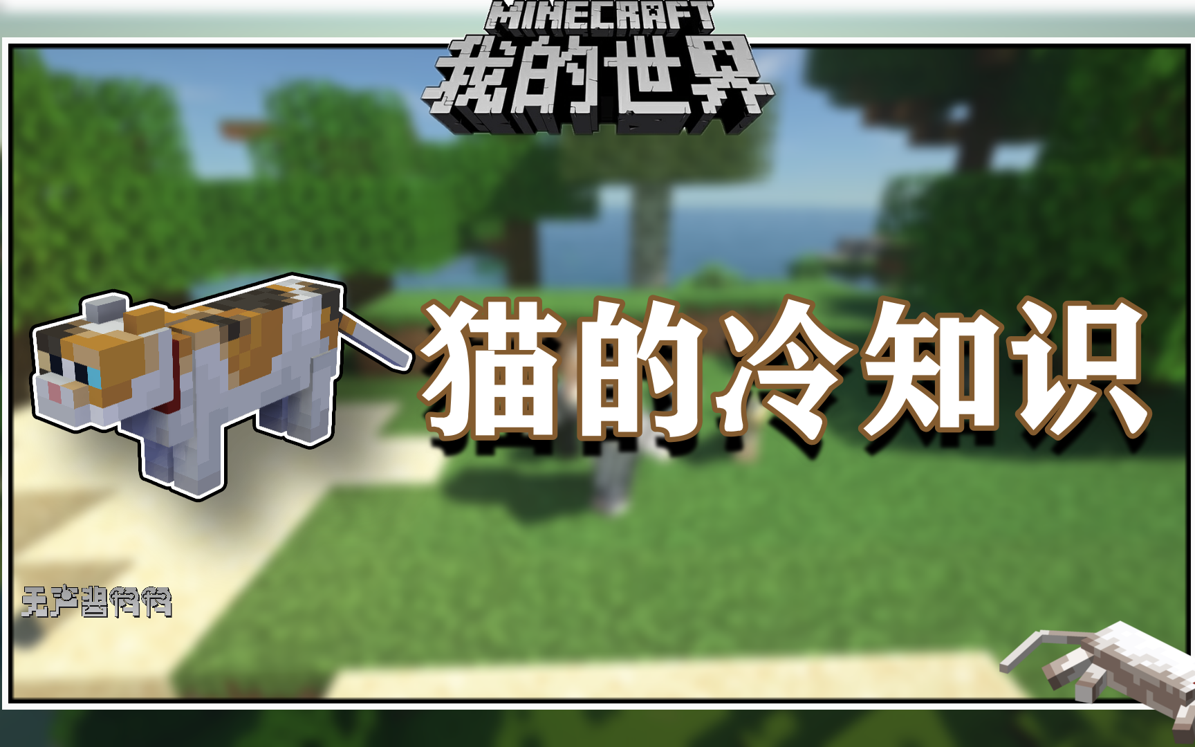 我的世界冷知识:黑猫的生成居然还和月亮有关