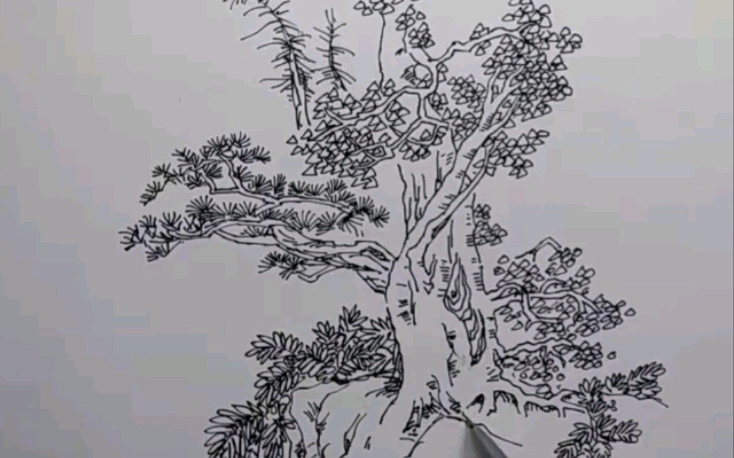 【线描风景钢笔画】老树根的画法以及谈谈握笔姿势!