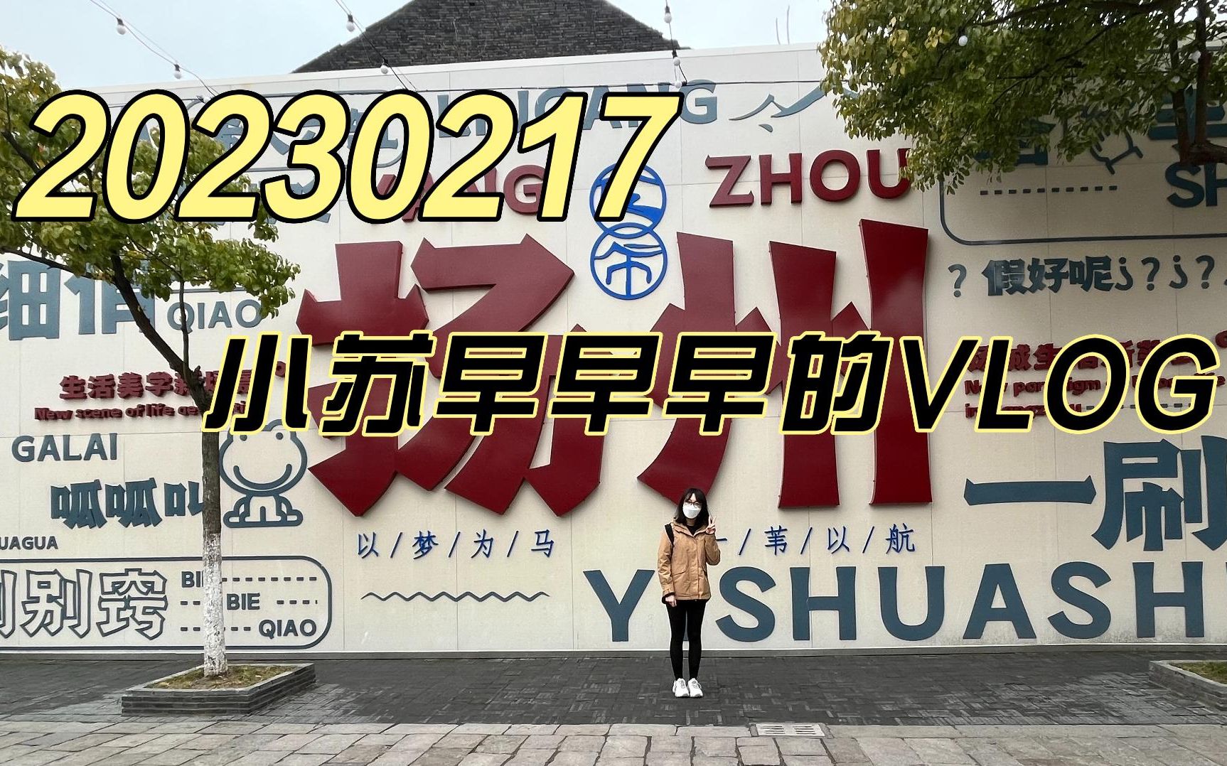 VLOG|小苏早早早的 2023.02.17|皮市街|扬大酸奶|何园|江泽民故居|个园|朱自清故居|扬州狮子楼|古运河|扬州修脚|四望亭哔哩哔哩bilibili