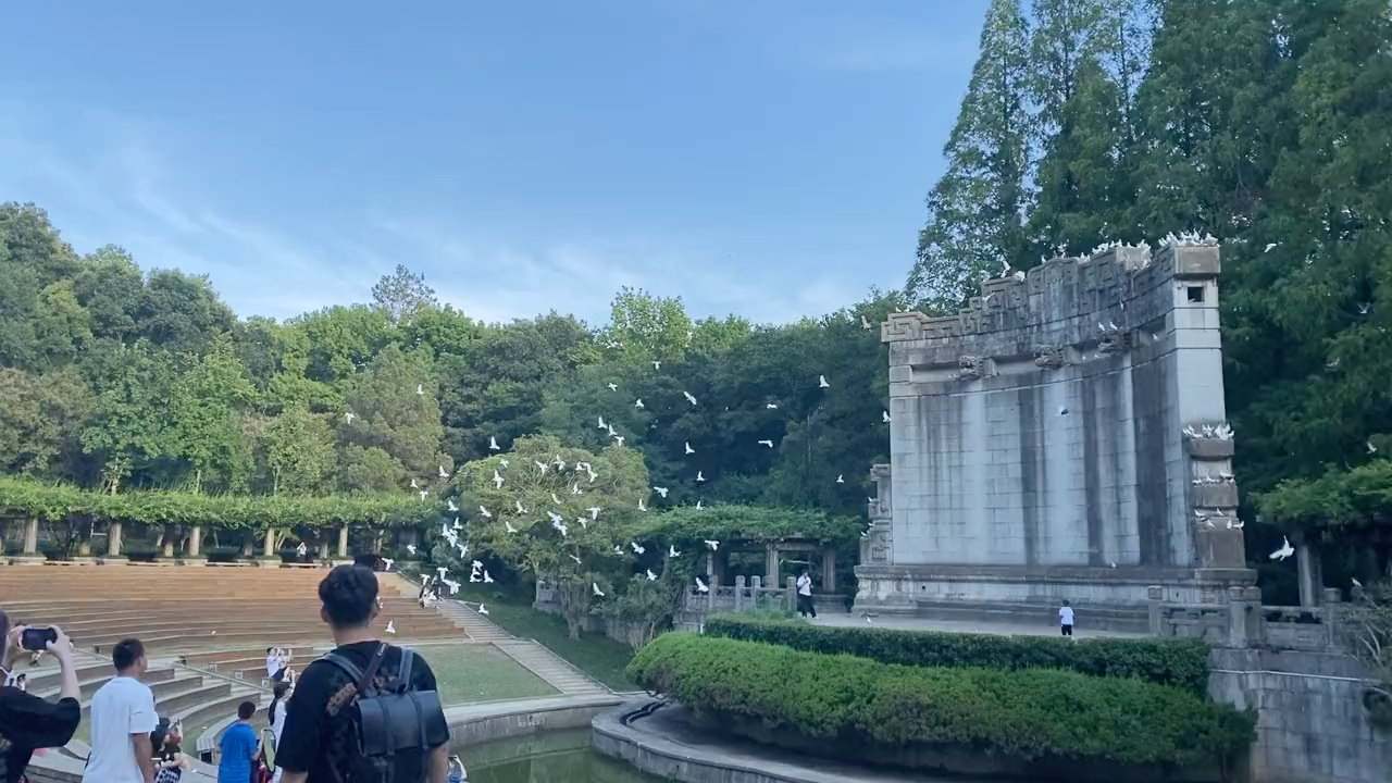 南京鸽子广场图片