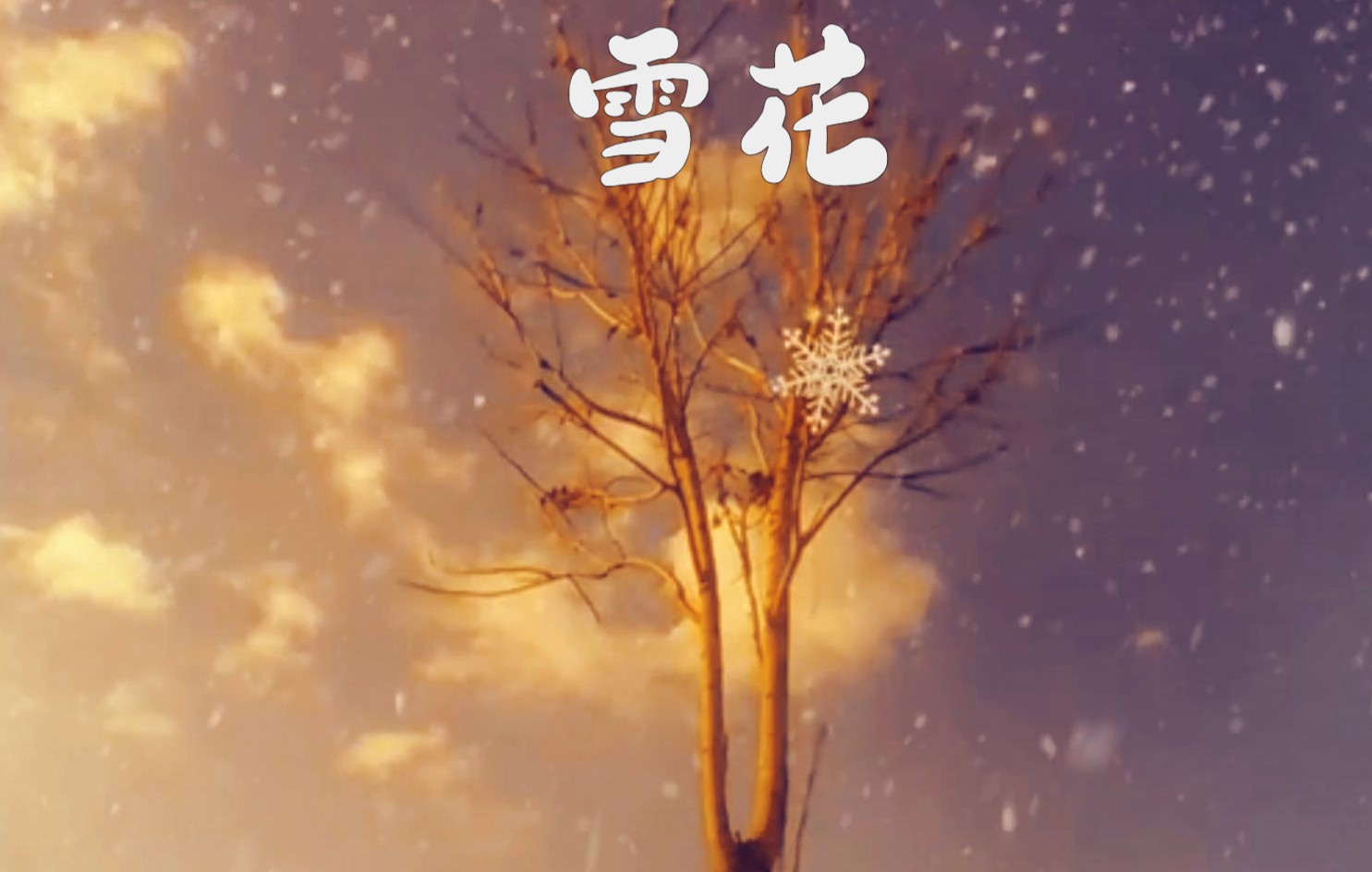 [图]再见冬奥，再见雪花