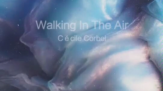 [图]Walking In The Air-Cécile Corbel 动态歌词海报