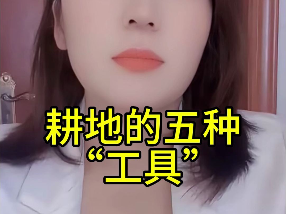 耕地的五种工具哔哩哔哩bilibili