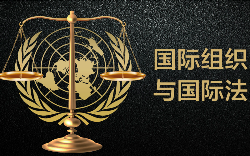 江东 国际法图片