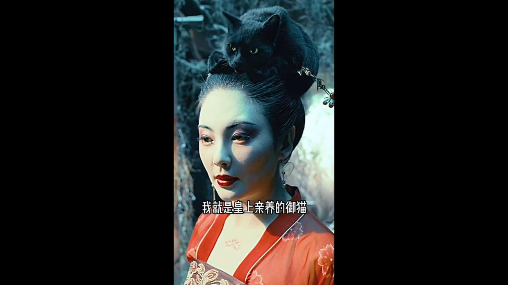 妖猫传#5 关于妖猫的身世之谜??!_哔哩哔哩_bilibili