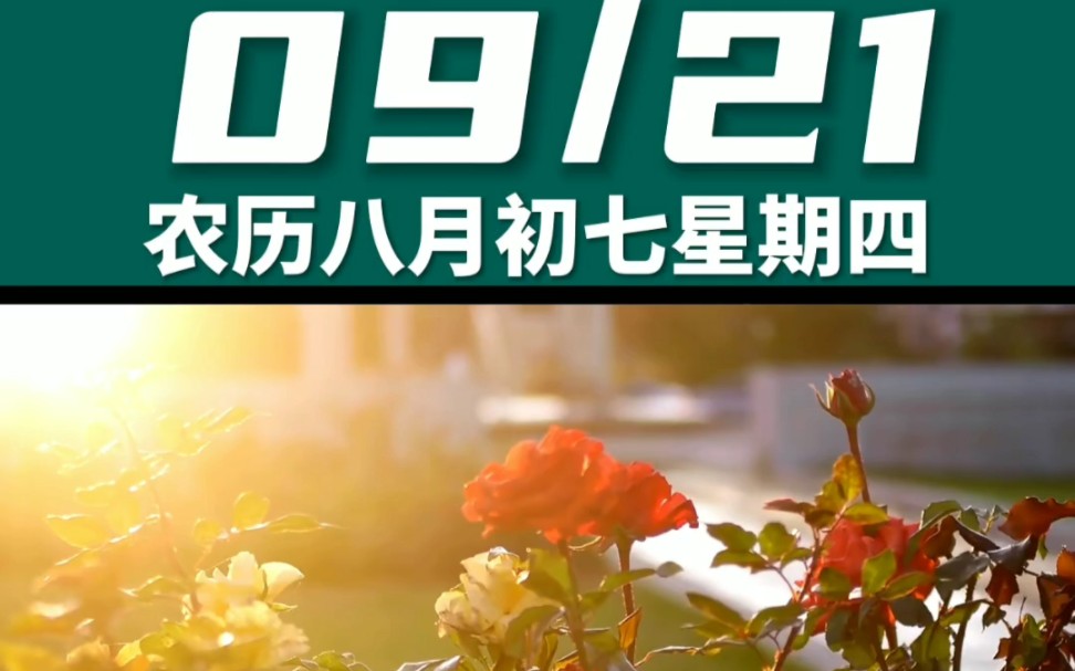 早上好啊今天是2023年9月21日星期四 处女座农历八月初七 壬午日十二建除的收日 金匮黄道日,喜神在正南 财神在正南幸运数字:8、1哔哩哔哩bilibili