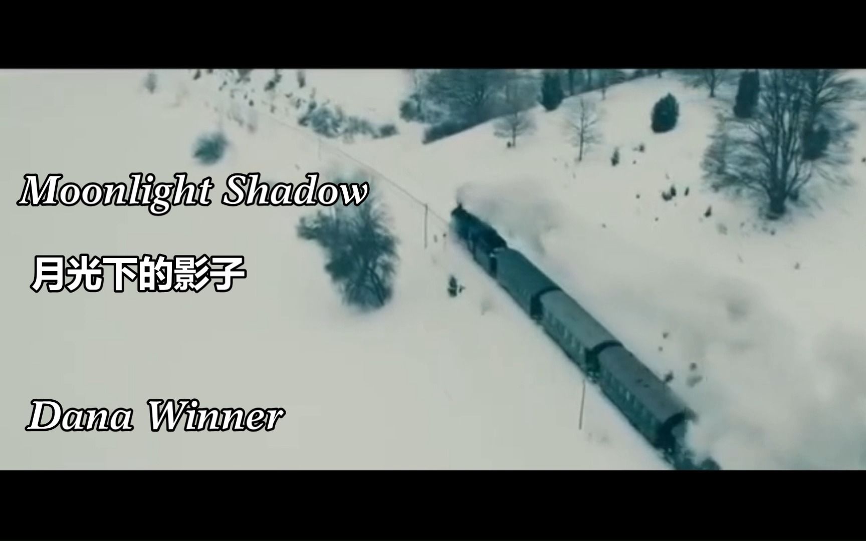 [图]月光下的影子Dana Winner - Moonlight Shadow 中英字幕