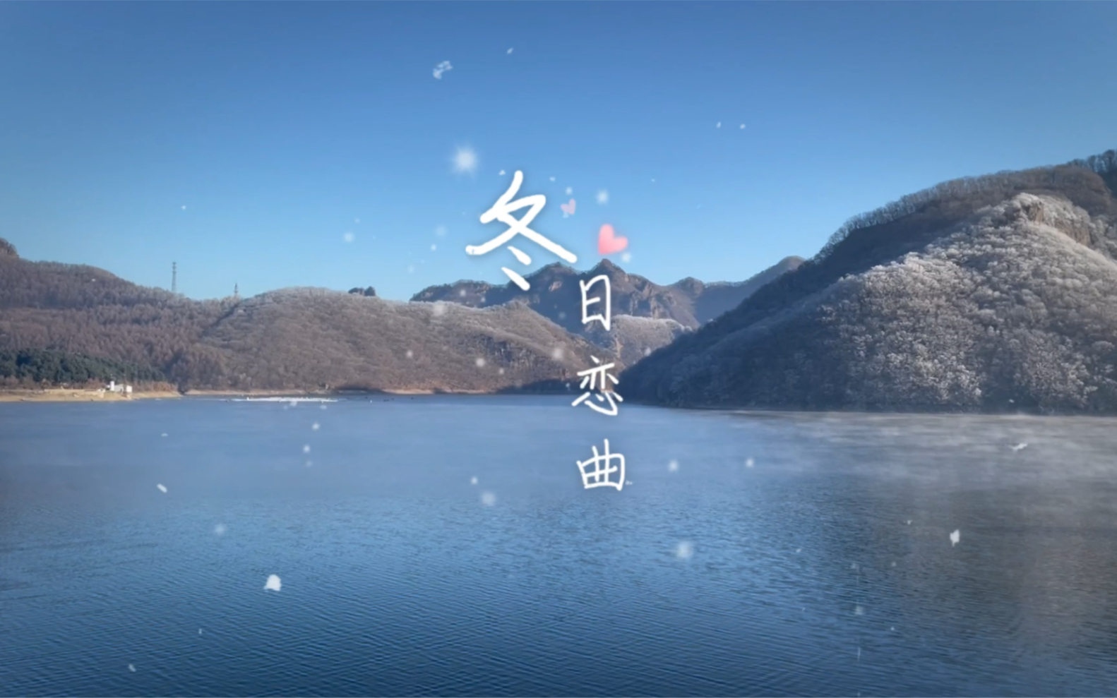 活动作品年复一年