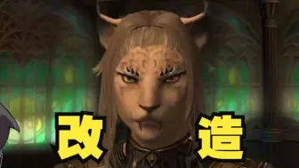 Tải video: 【FF14】我不是福瑞控啊，但母大猫有点..性感 ？