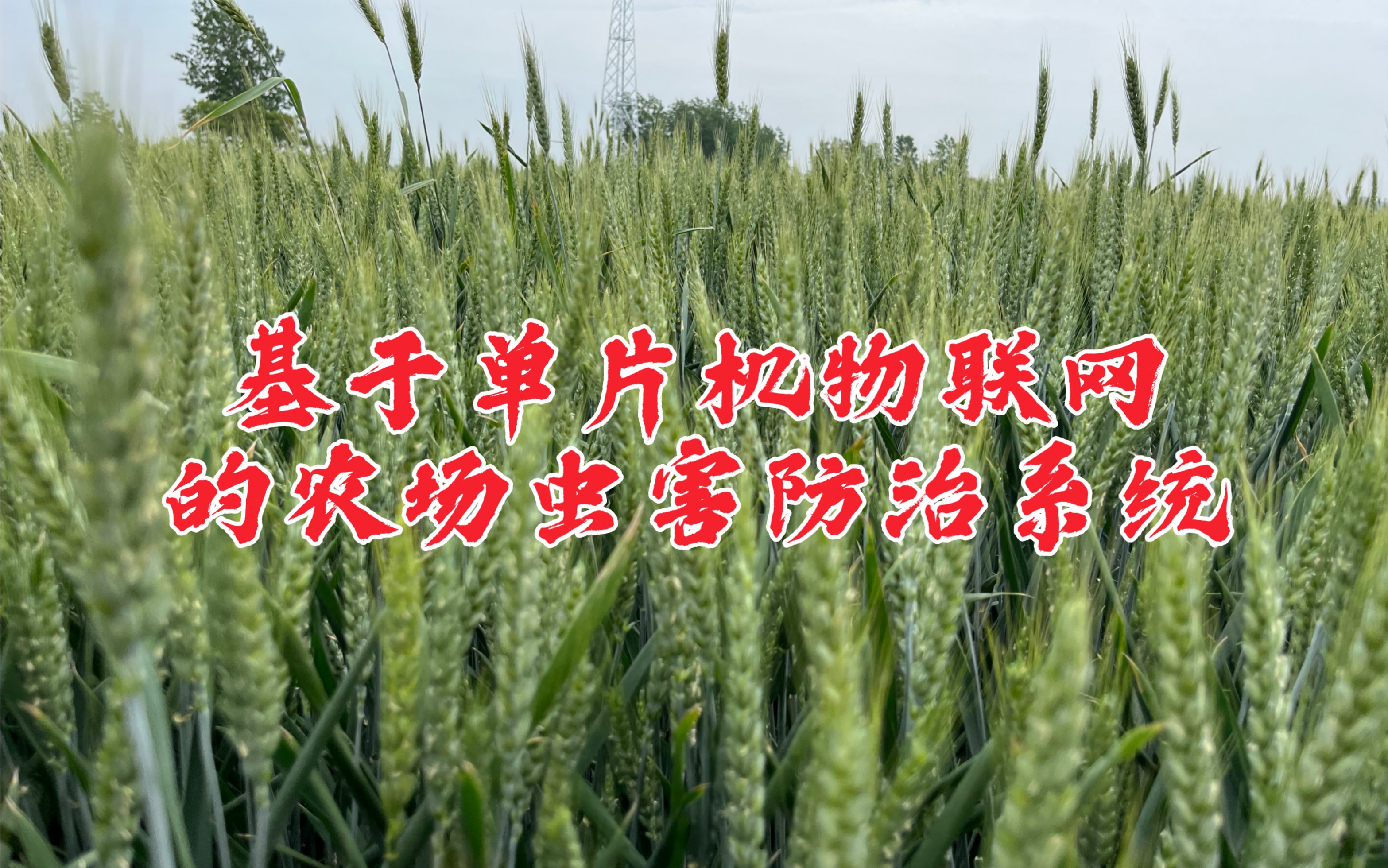 基于单片机物联网的农场虫害防治系统设计哔哩哔哩bilibili