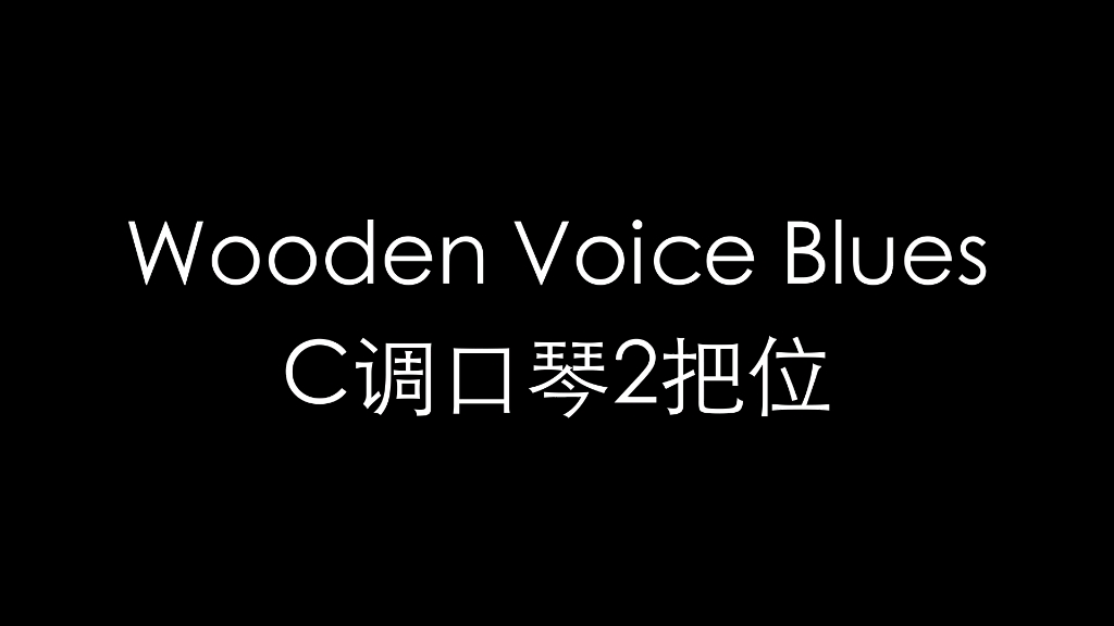 布鲁斯口琴c调口琴二把位woodenvoiceblues