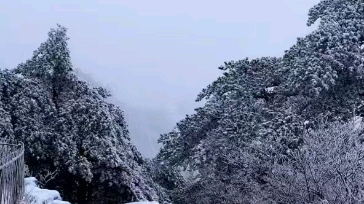 黄山雾凇*黄山雪景哔哩哔哩bilibili