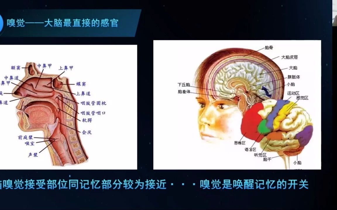 艺术元宇宙工业美学第十二期芳香元宇宙正气旭日大数据科技公司创始人&CEO赵子旭1哔哩哔哩bilibili