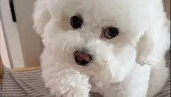 朋友们，我妈好像是失业了！