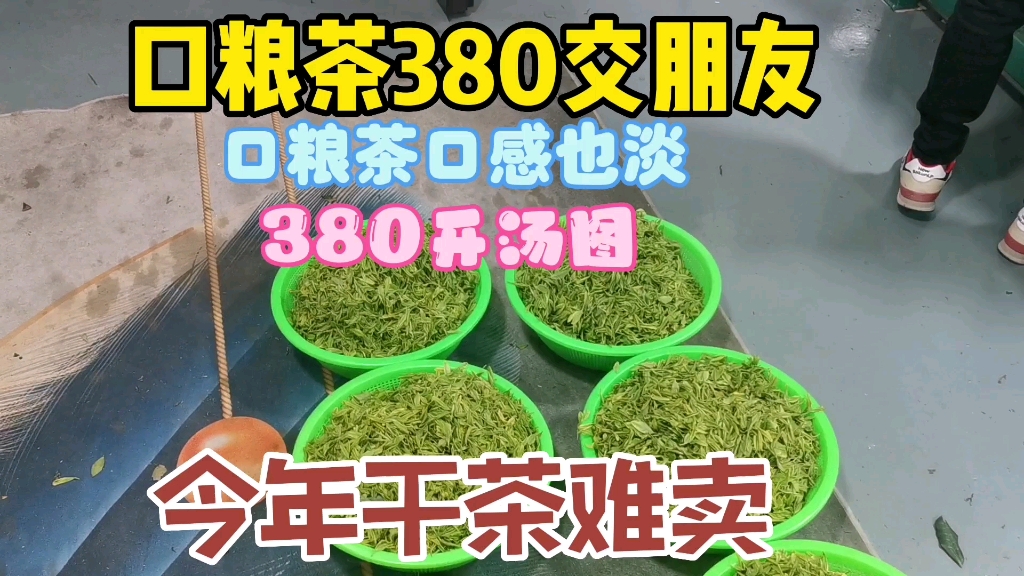 380口粮茶开汤图来了,大斌感慨今年干茶太难卖了,便宜茶不好搞哔哩哔哩bilibili