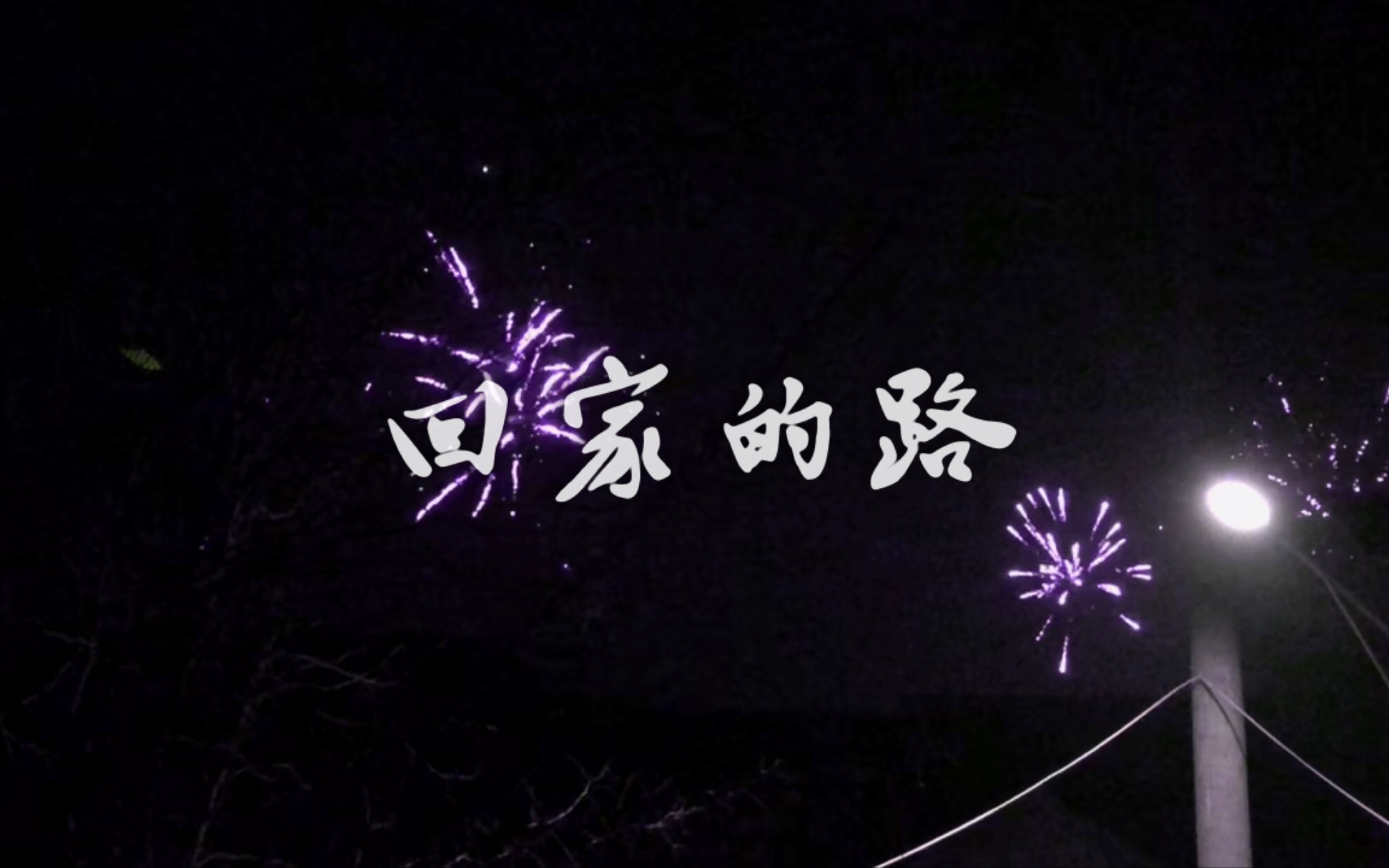 2019年春节微纪录片回家的路