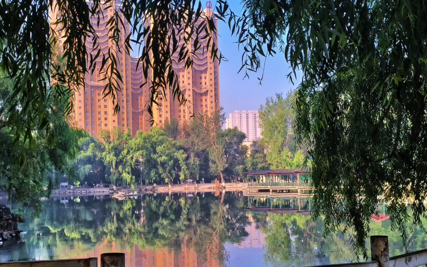 【日常】凌源公园‖与朋友出来vs雨夜自己出来