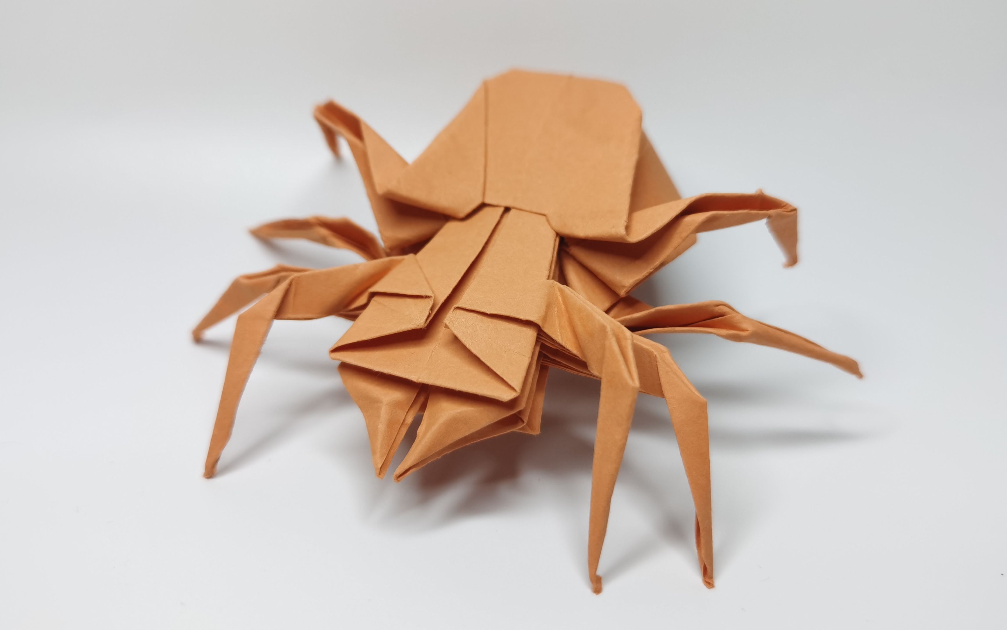 【折纸】蜘蛛