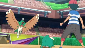 公式 ポケットモンスターサン ムーン8月4日 日 放送分予告 鳥上決戦 ブレイブバードvsゴッドバード 哔哩哔哩 Bilibili