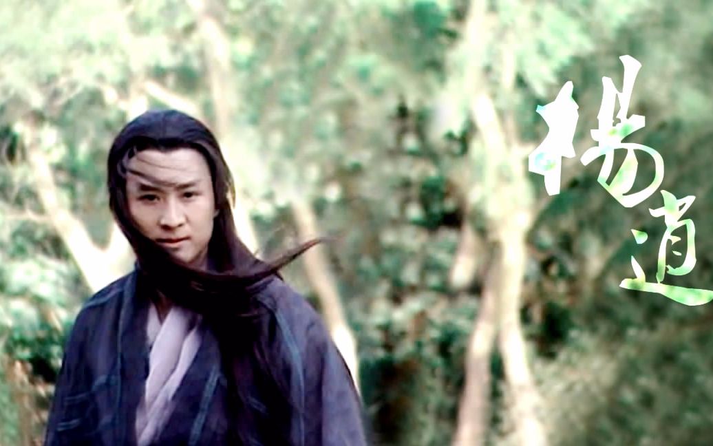 寻找坐忘峰1995