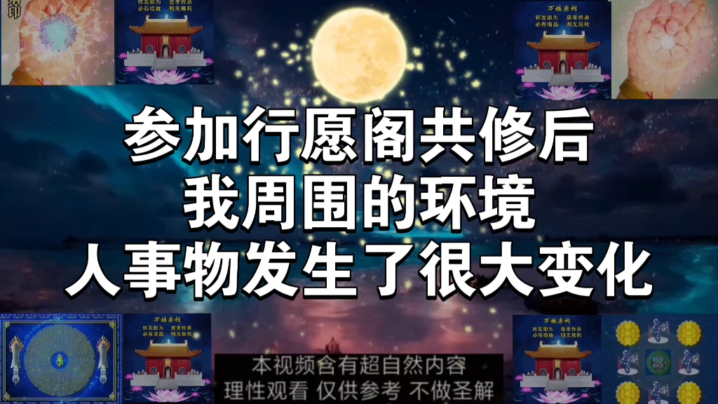 变化哔哩哔哩bilibili